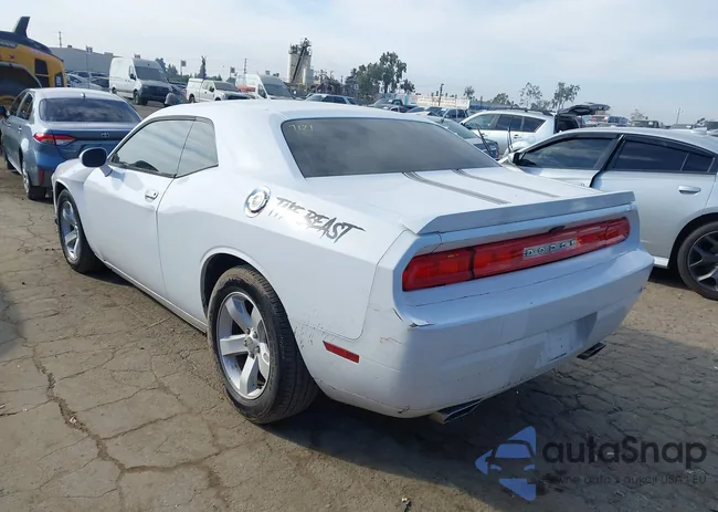 2C3CDYAG9DH704666: 43845100