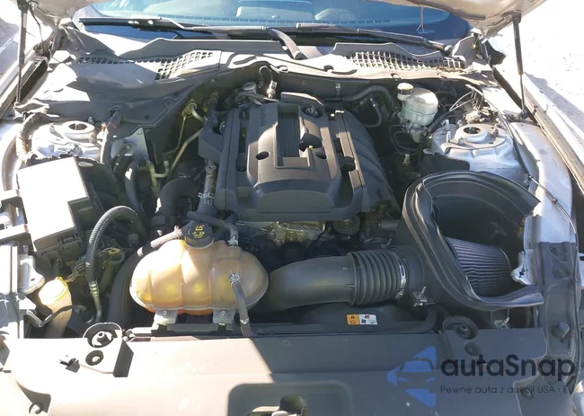 1FA6P8TH4H5205041: 43845120