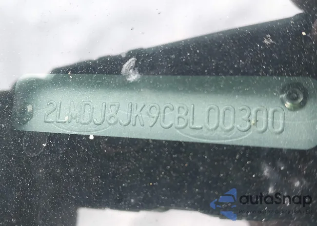 2LMDJ8JK9CBL00300: 43845184