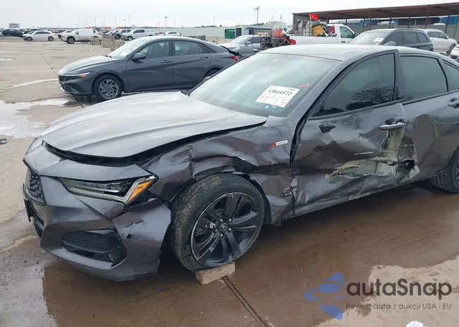 19UUB5F56MA013770: 43844522