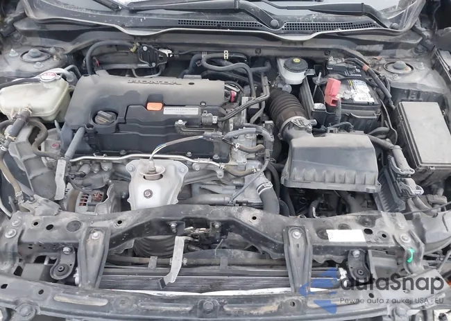 2HGFC4B89LH303002: 43844663