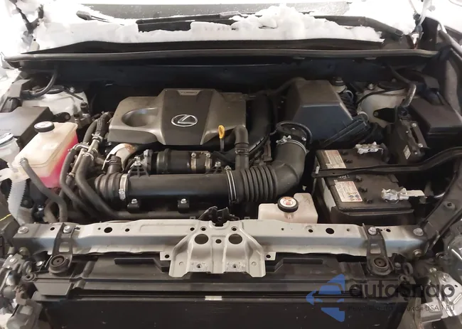 JTJSARDZ8M2247955: 43845932