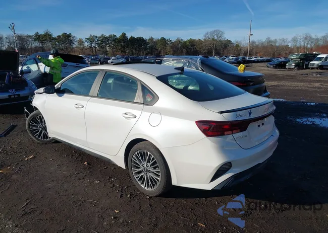 3KPF54AD7RE755140: 43846206