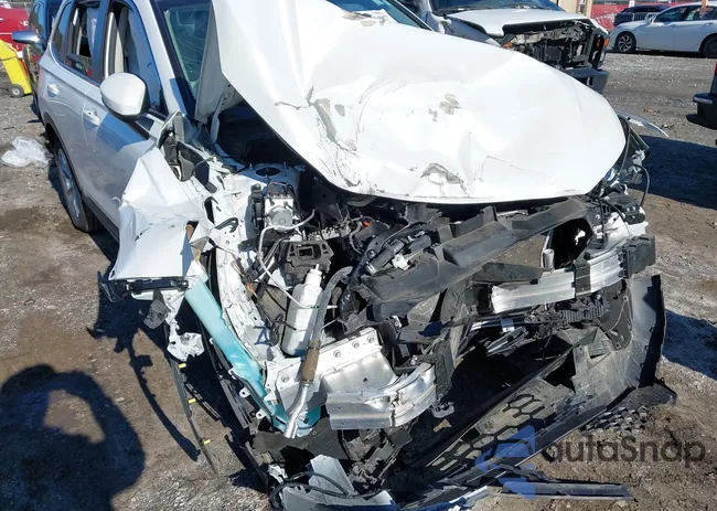 7FARS4H71PE021305: 43846487