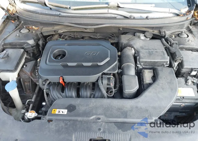 5NPE34AF9GH271854: 43845604