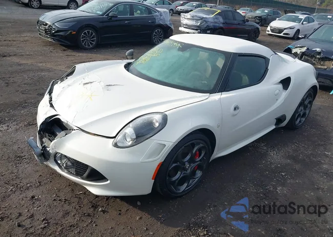 ZARBAAC43FM144806: 43845787