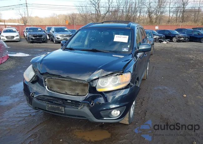 5NMSKDAGXAH386465: 43847449