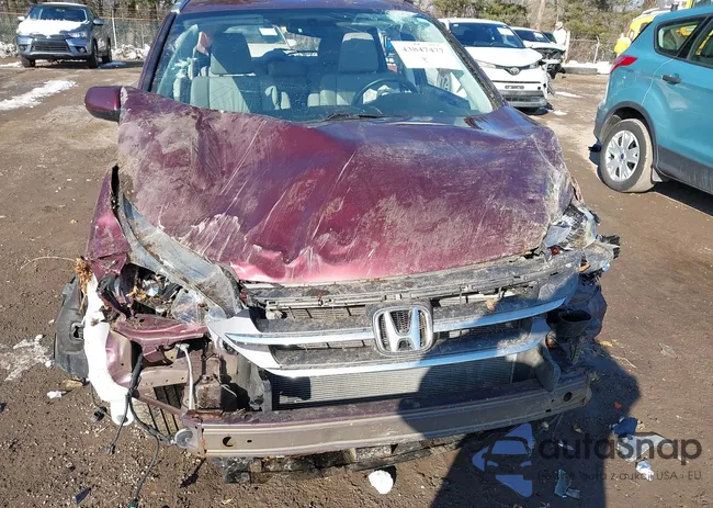 5J6RM4H77EL080207: 43847477