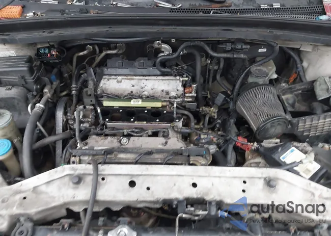 5FNRL38786B419631: 43848111