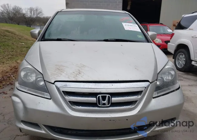 5FNRL38786B419631: 43848111