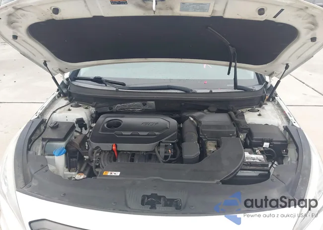 5NPE34AF8FH203379: 43847504