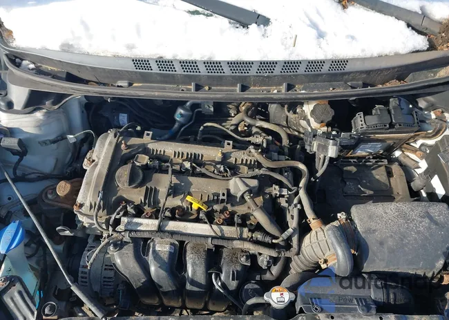 5NPDH4AE7FH605009: 43847804