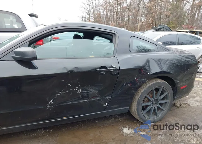 1ZVBP8AM7E5329905: 43849397