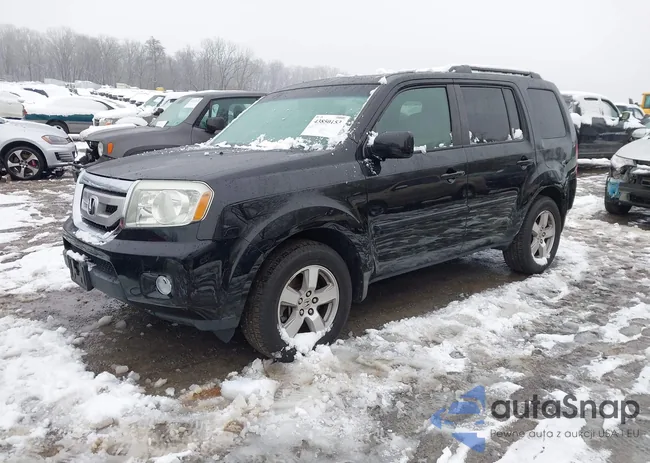 5FNYF48509B045575: 43850153