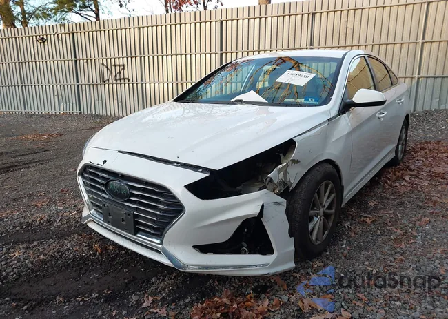 5NPE24AF5JH695106: 43849680