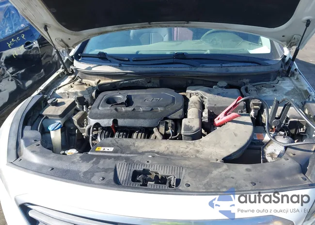 5NPE24AF9GH415843: 43851371