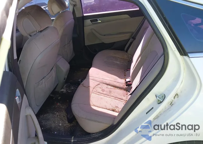 5NPE24AF9GH415843: 43851371