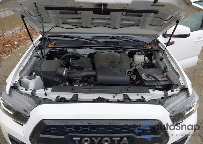 5TFCZ5AN7KX206520: 43851453