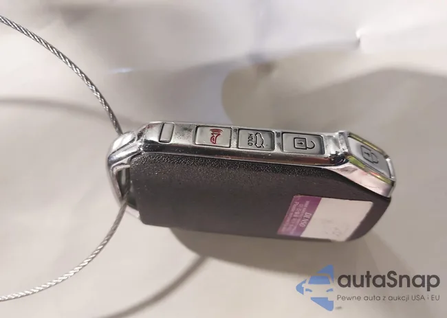 3KPF44AC8PE539613: 43852453