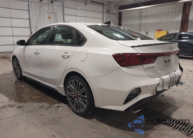 3KPF44AC8PE539613: 43852453