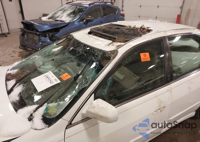 1HGCG1655WA021318: 43851541