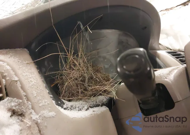 1HGCG1655WA021318: 43851541