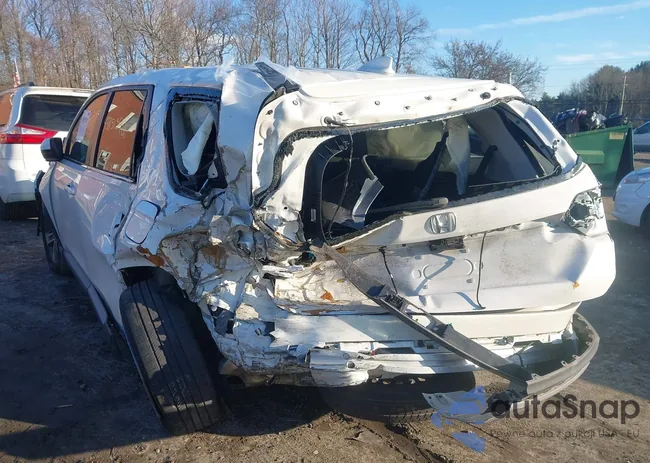 5FNYG1H41RB037133: 43851592