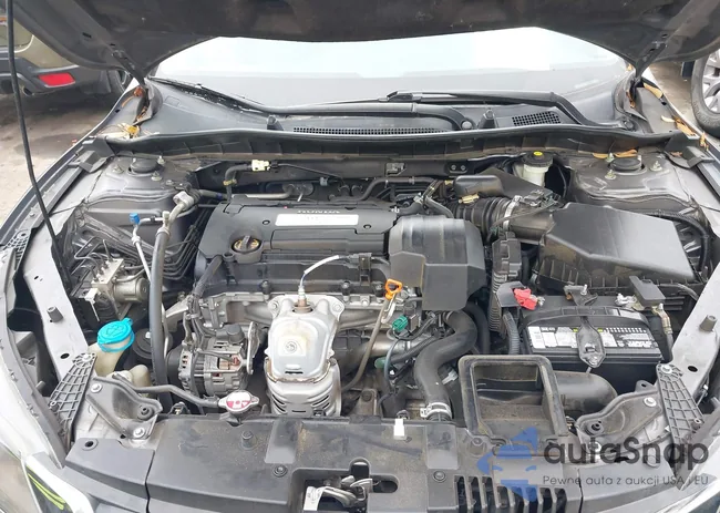 1HGCR2F30DA158503: 43851688