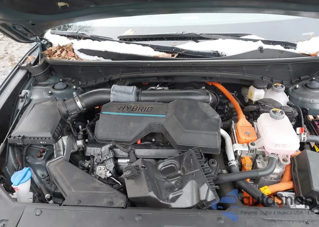 KM8JECD12RU172848: 43853182