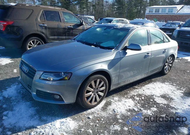 WAUFFAFL9BN005538: 43853419