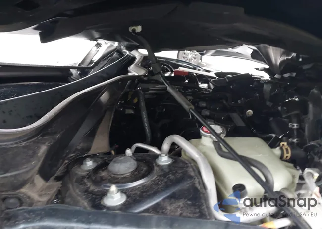 19XFC1F32LE017290: 43855213