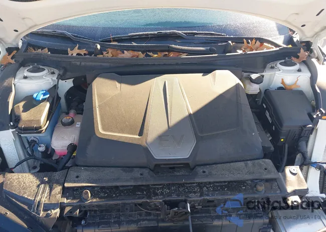 KNDC3DLC2P5143675: 43854766