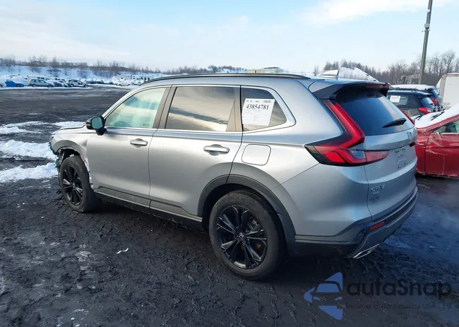 5J6RS6H91RL003602: 43854781