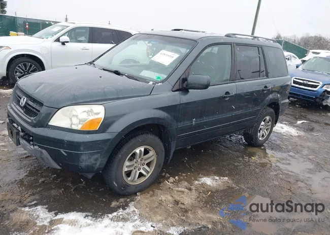 5FNYF18555B059285: 43855998