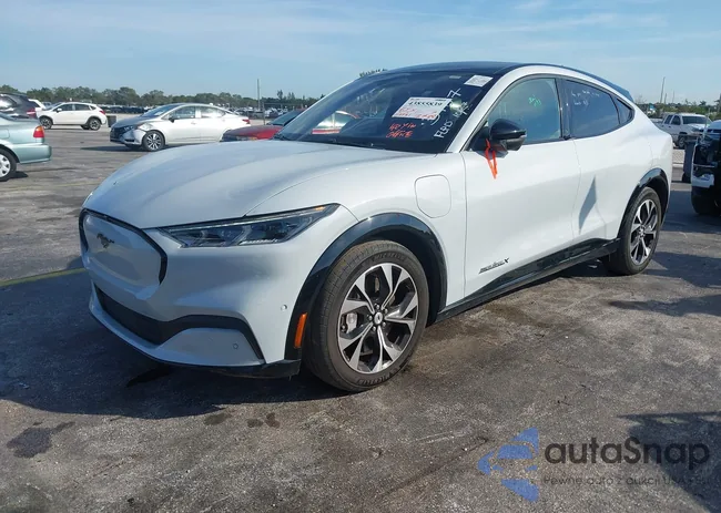 3FMTK3SU1PMA83787: 43855839