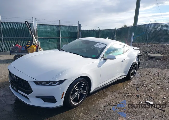 1FA6P8TH1R5146662: 43856934