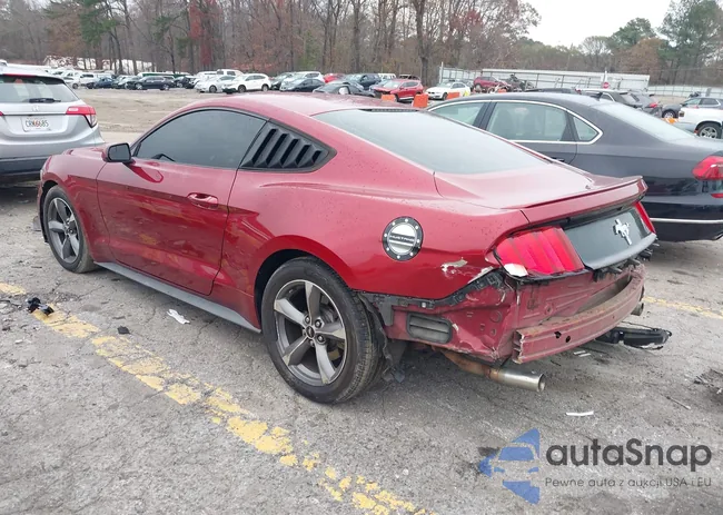 1FA6P8AM4G5282071: 43856549