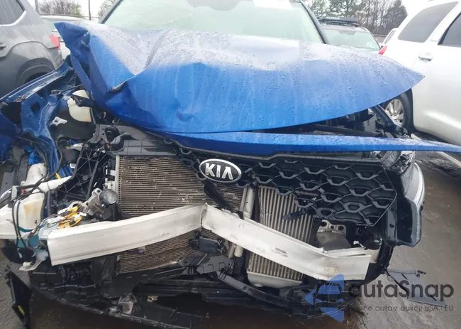 5XYRK4LF0MG039924: 43856593