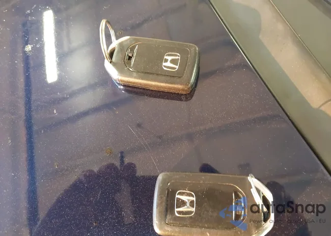 5FNRL5H45FB019852: 43856817