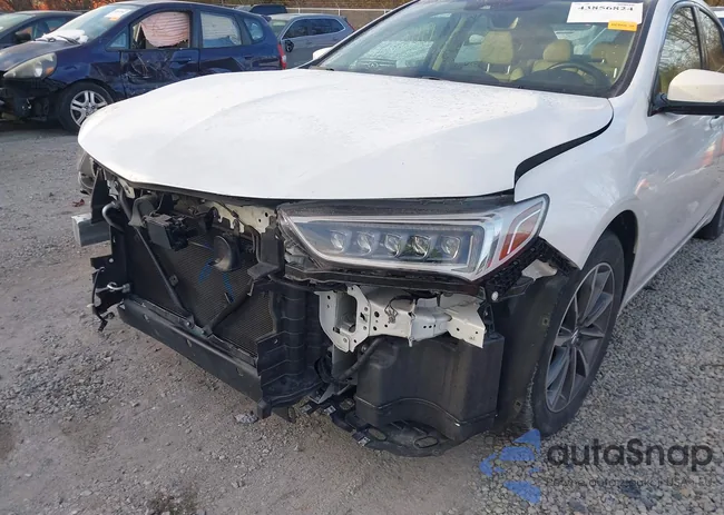 19UUB1F36KA009819: 43856824