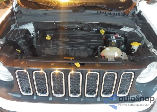 ZACCJABH0JPH00163: 43858043