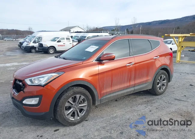 5XYZUDLB2GG319517: 43858255