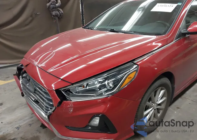 5NPE24AF6JH601010: 43858325