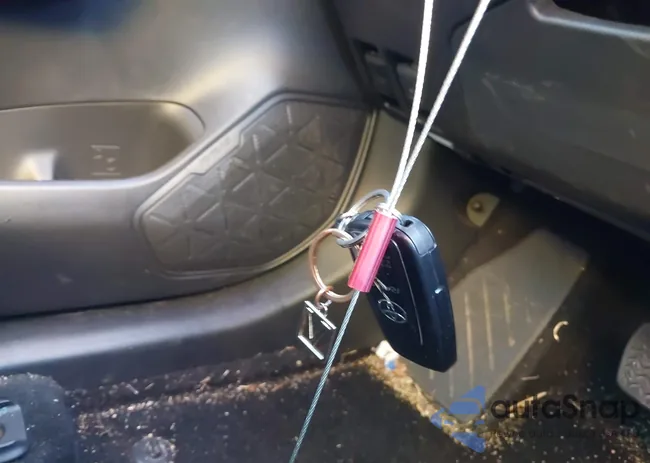 2T3W1RFV9SC333392: 43858448