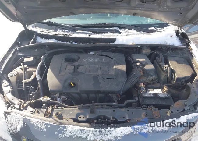 2T1BU4EEXAC237935: 43857730