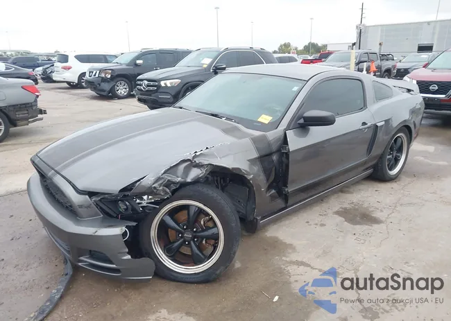 1ZVBP8AM4E5326489: 43859339