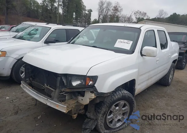 2HJYK16568H528005: 43859381