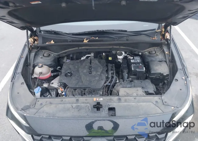 5NMS24AJ9PH547876: 43859452