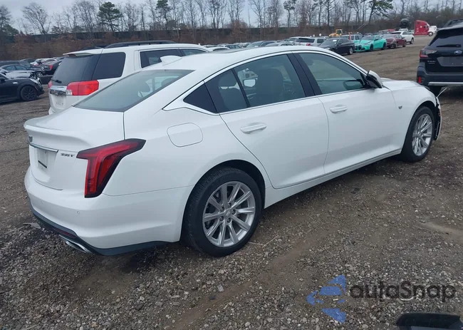 1G6DX5RK2P0102542: 43859956