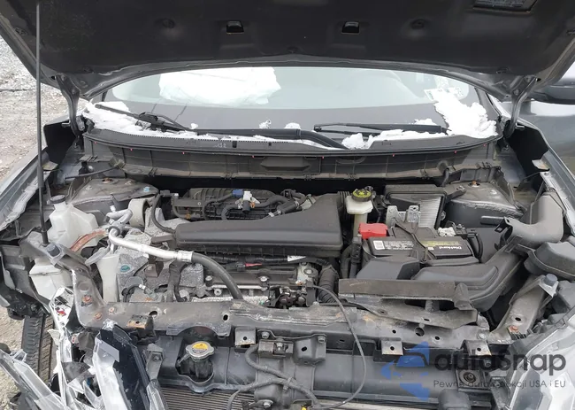 KNMAT2MV8LP522366: 43860419